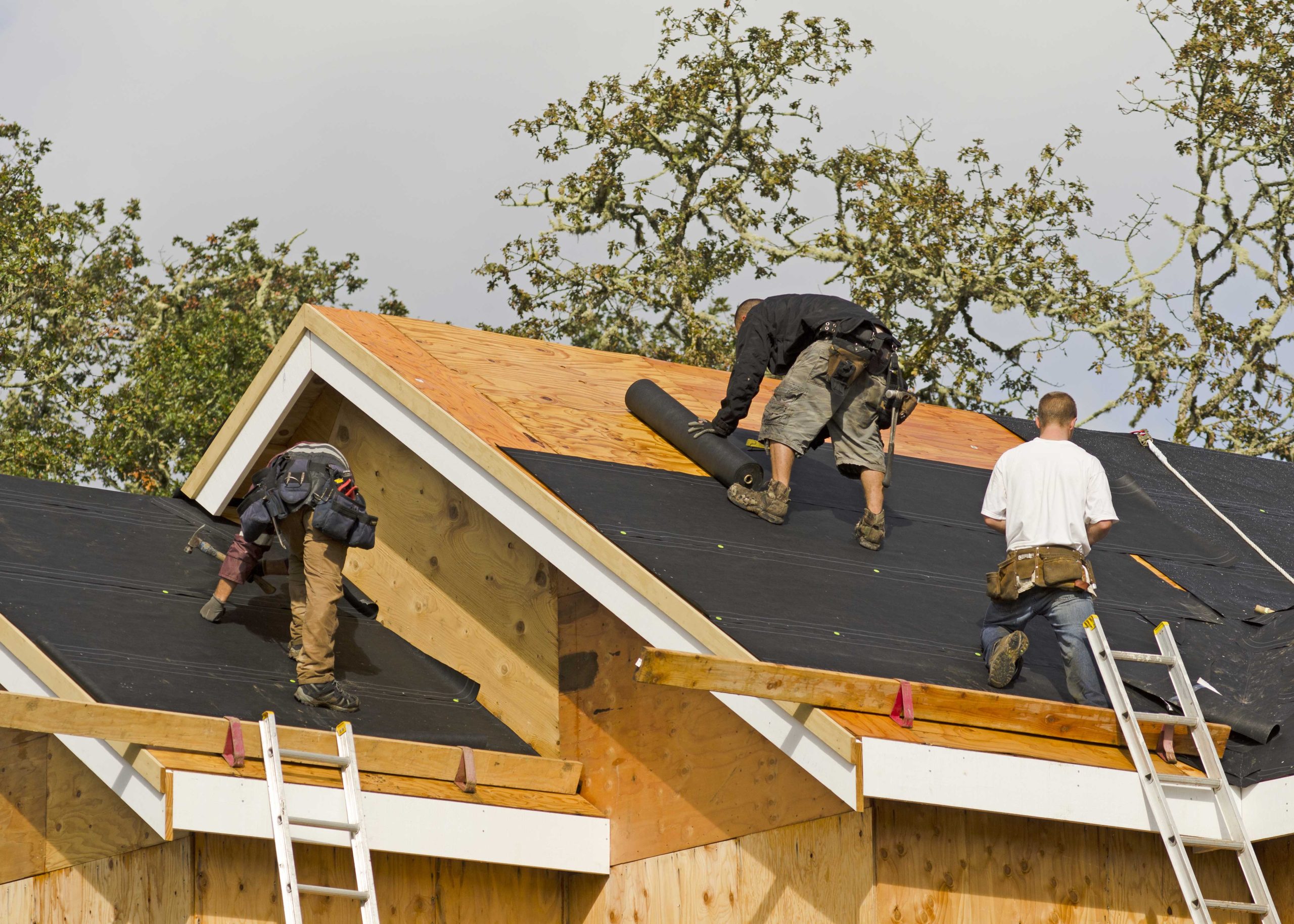 Professional roofers in Castle Rock